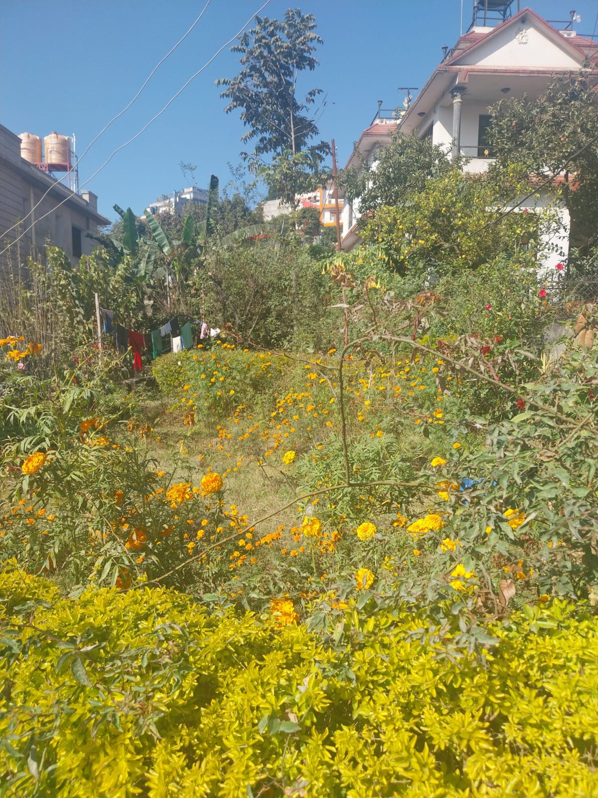 Picture of Chandragiri Municipality, Bagmati